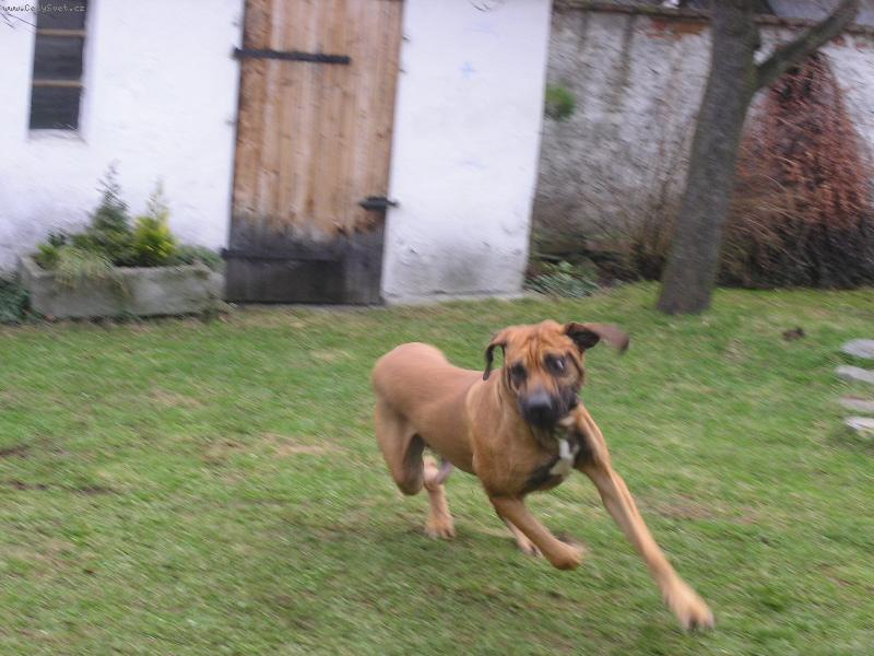 Foto: Jsem rychlý jako vítr!