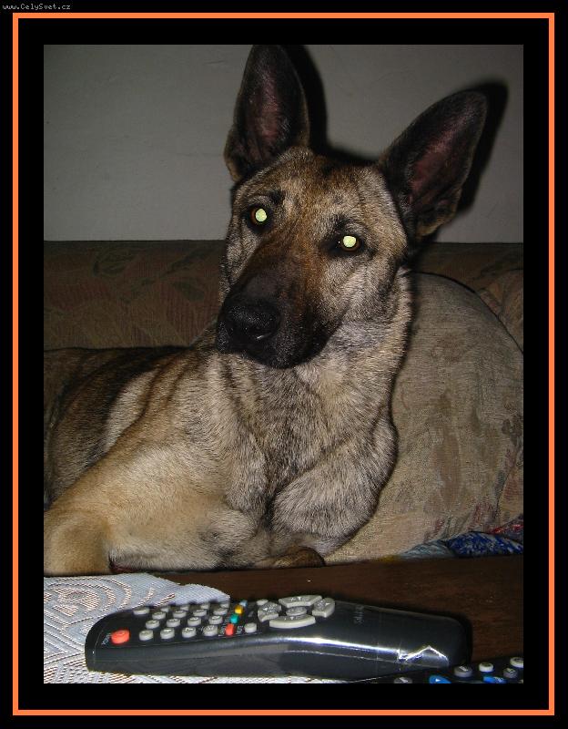 Foto: Pustíme si něco?-Carmen