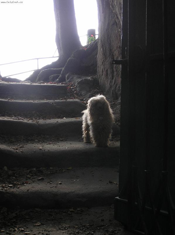 Foto: Akim 2006 poslední výlet do přírody-procházka do Českého ráje