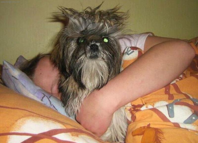 Foto: Ve stylu PUNK...-...dokonce i tohle naší Sindy sluší...