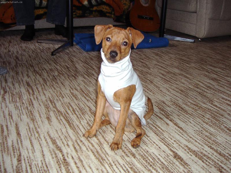 Foto: Sindy v šatičkách