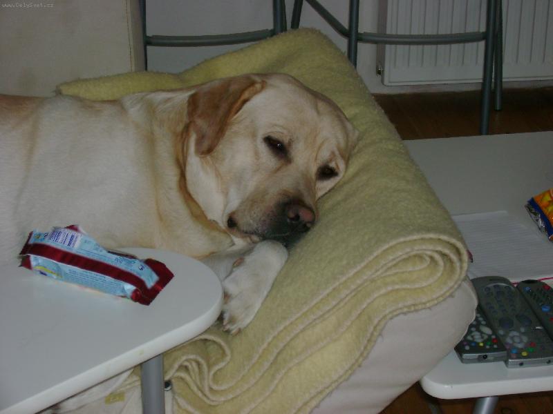 Foto: Charlie spinka-Dobru noc!