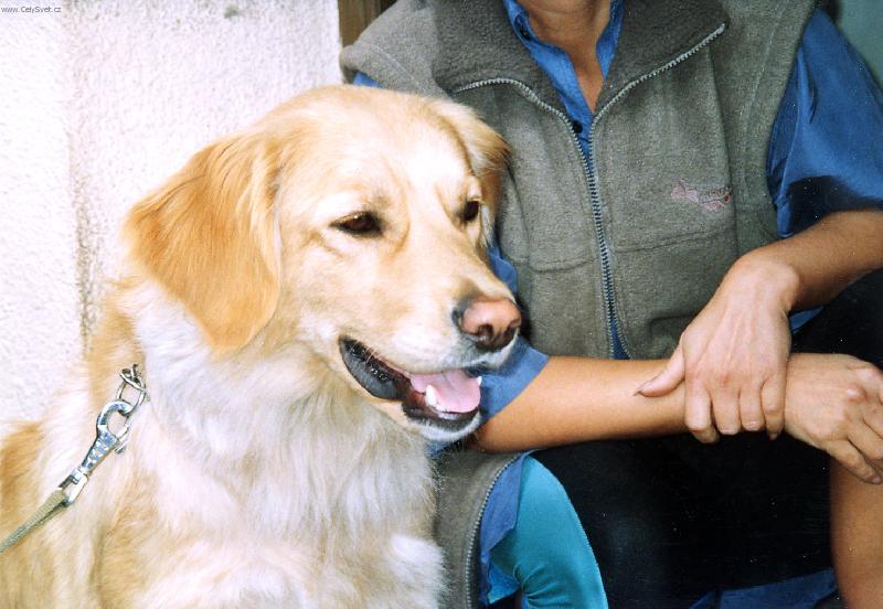 Foto: Já jsem Sallinka