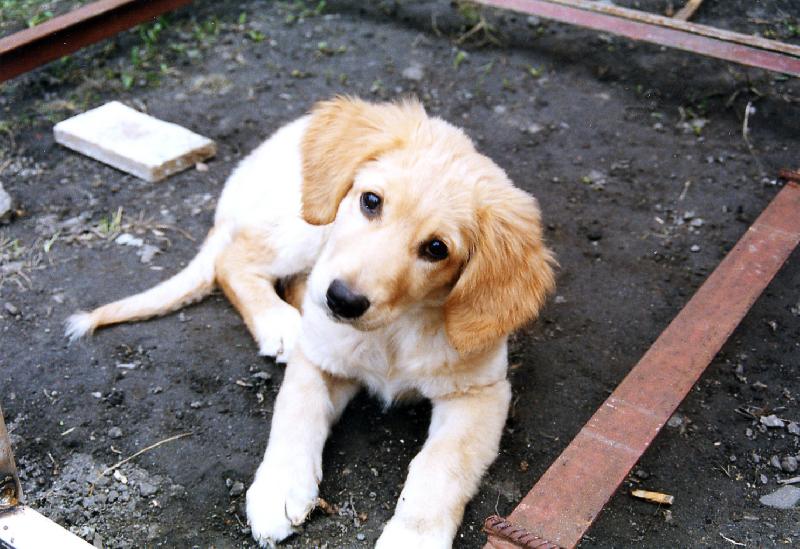 Foto: Tady chci boudičku