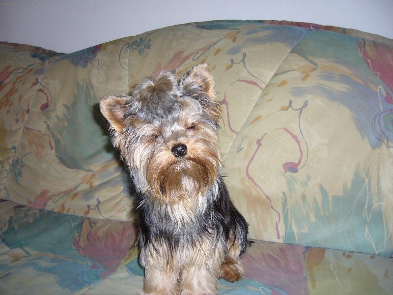 Foto: Sendy-Už skoro spinká...