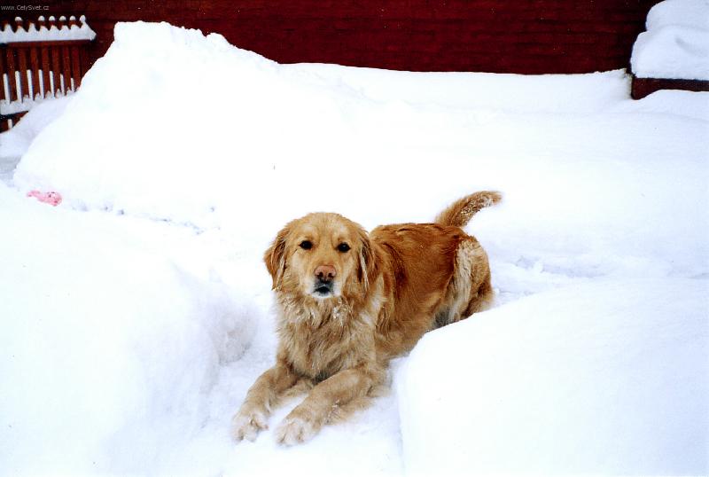 Foto: To je všechno moje