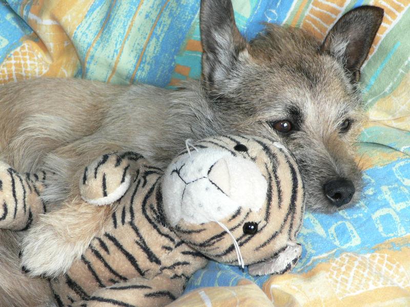 Foto: spinkaní-a zase budem hajat s medou,dobrou