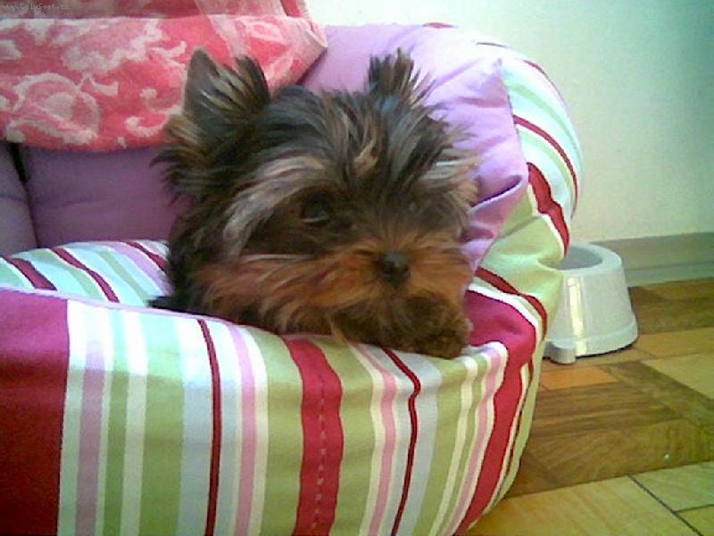 Foto: Náš nový přírůstek