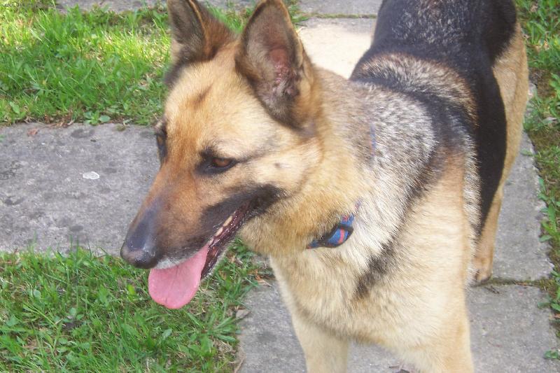 Foto: Belinka pusinka-Moje miminko nejvetsi..