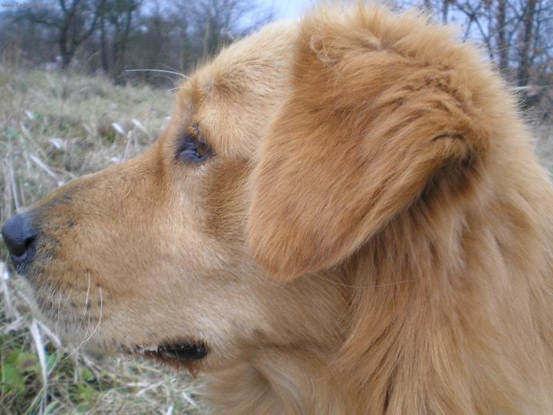 Foto: Max-portrét:)