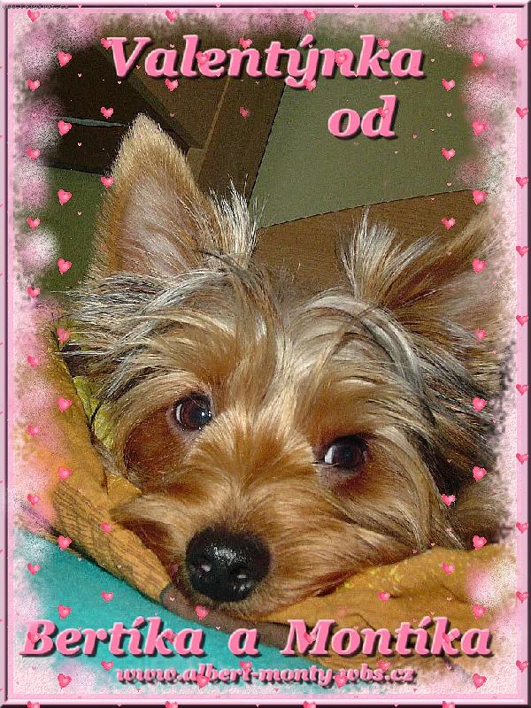 Foto: Montík-Krásného Valentýna !