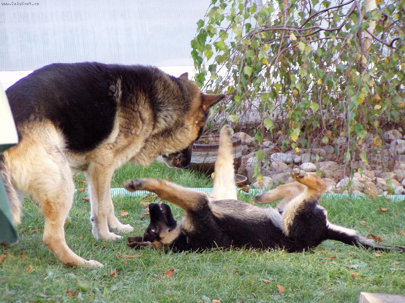 Foto: Kení a Jasko-Vzdáváš se?