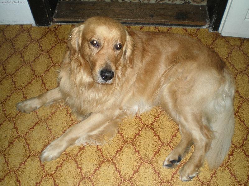 Foto: NOE-odpočinek po obědě