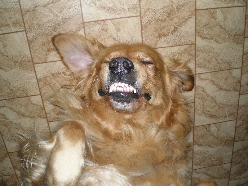 Foto: NOE-nelechtej mě !!!