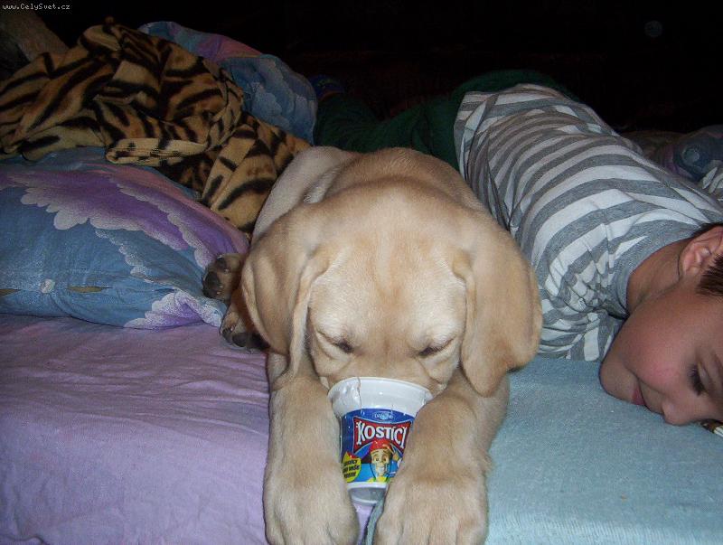 Foto: svačina-to byla dobrota