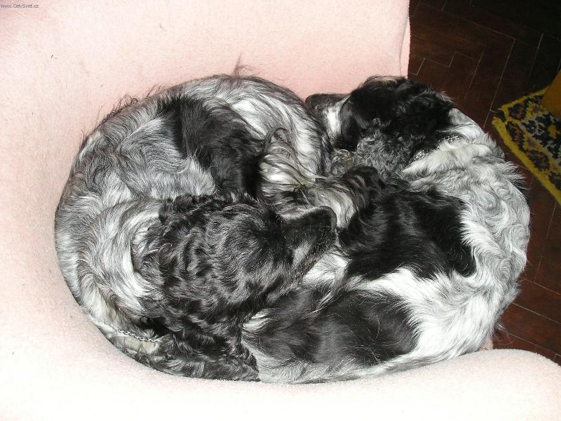 Foto: Klubíčko-dokonalá souhra matky s dcerou