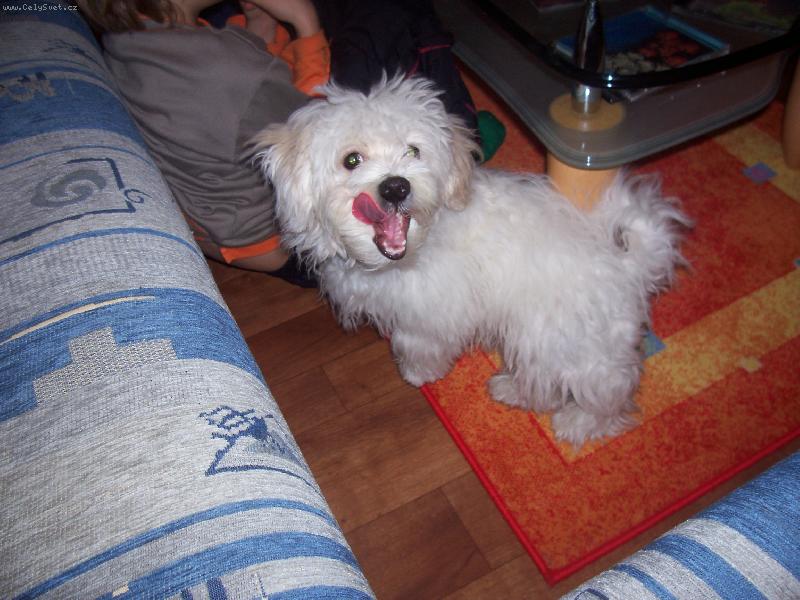 Foto: můj Timeček-super záběr