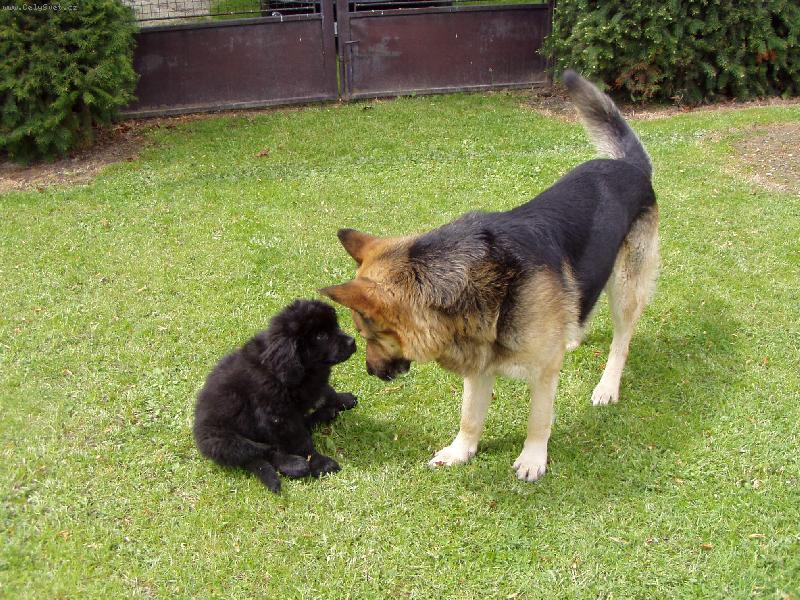 Foto: Keník a Monty