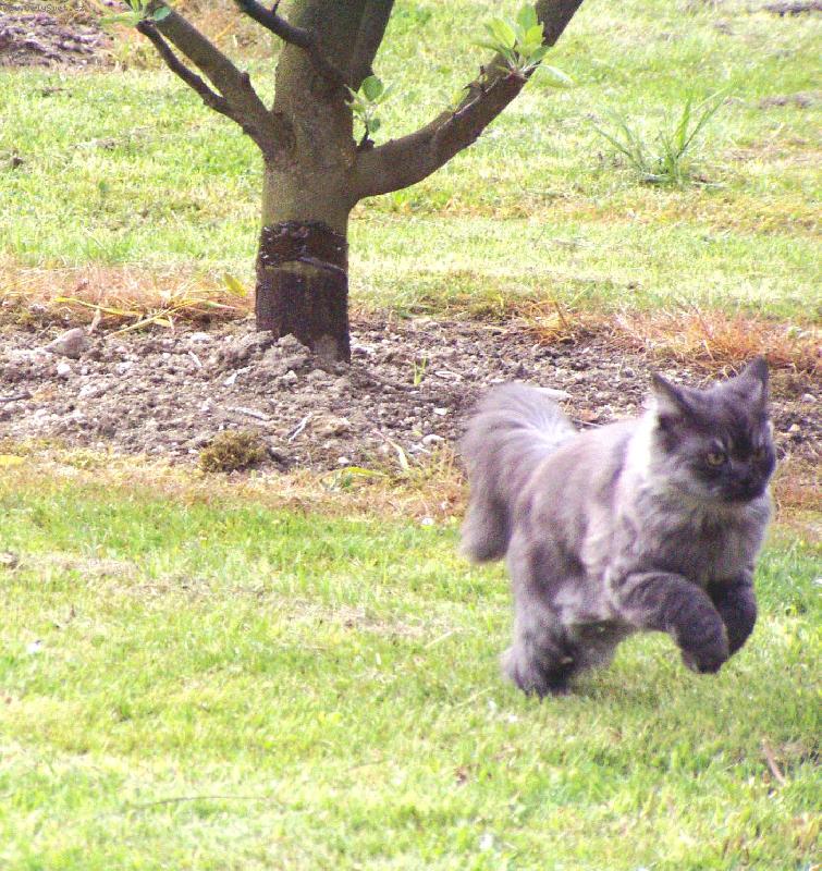 Foto: Gizma-Počkej až tě chytím...