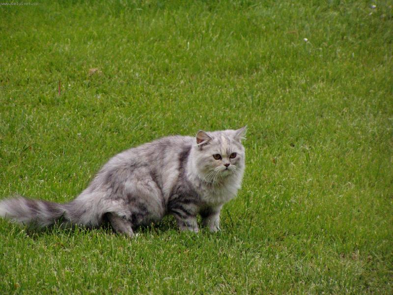 Foto: Megie-Číhám, číhám, ...