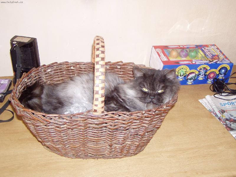 Foto: Gizma-To je můj pelíšek!