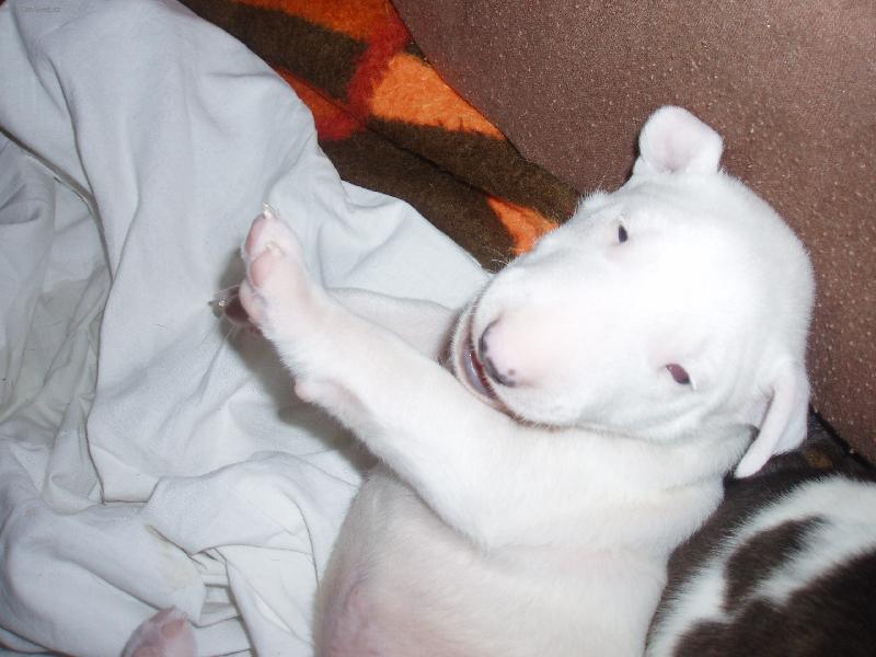 Foto: U� jsem o malinko v�t��