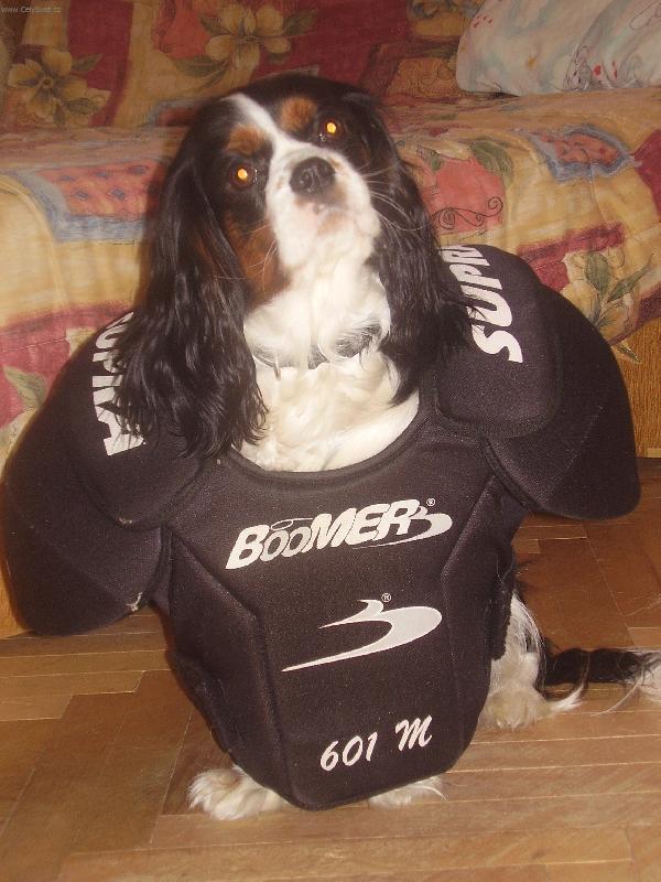 Foto: Příprava na ZOH Vancouver 2010 !!!-Athena Magic Magpie