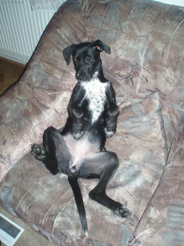 Foto: Ice Tea-Pohodička....