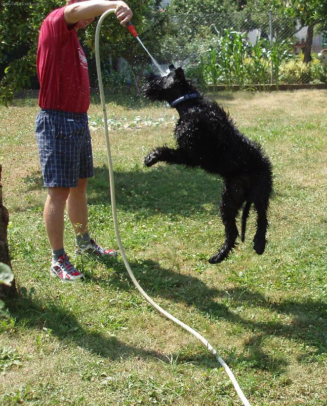 Foto: Už ji mám!-Devil Denny