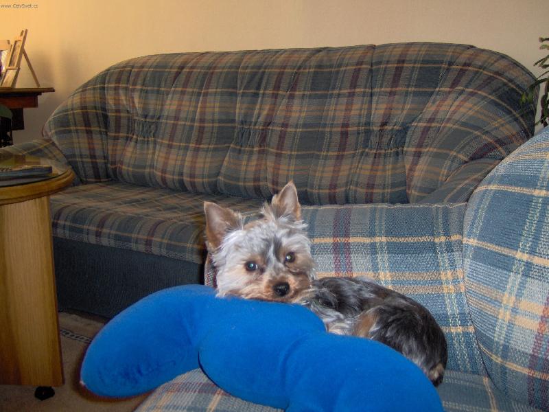 Foto: Konečně je pánička v nedohlednu-Čuřilovo pozdní odpoledne