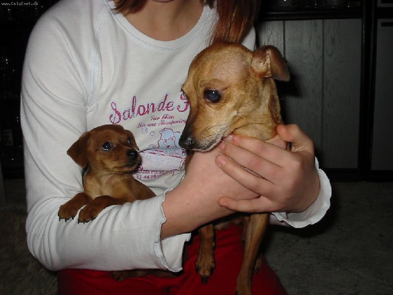 Foto: Mišák a štěňátko-I když je jeho, nechce se k němu hlásit :)