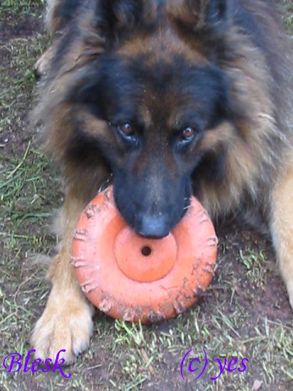 Foto: Blesk :)-Smutně kouká :)