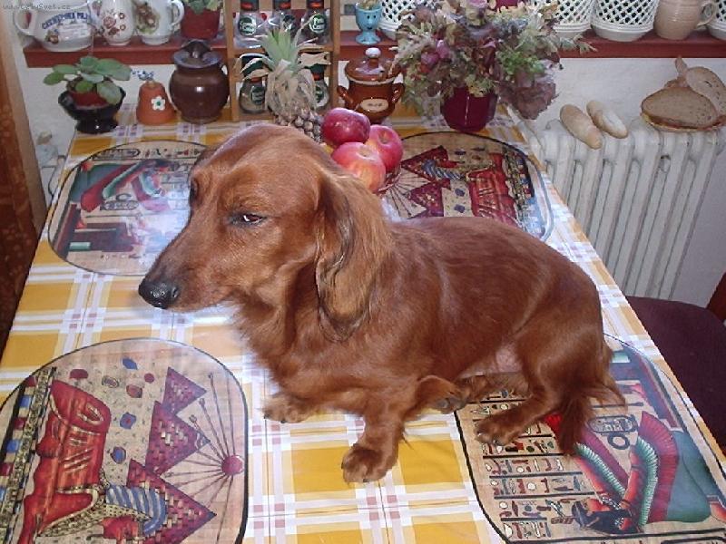 Foto: Mám hlad-Co je s tím obědem