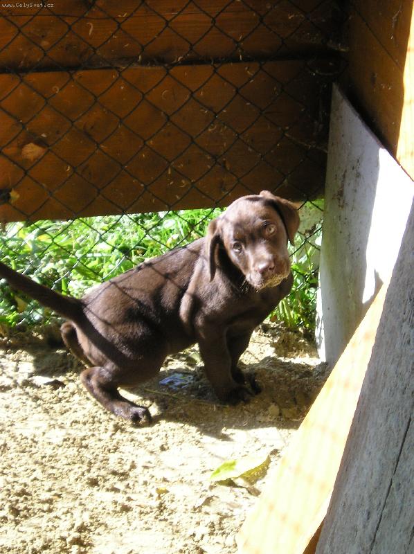 Foto: Dasty-Èùùùùùrám!!!