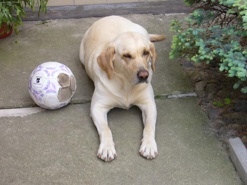 Foto: Dendášek odpociva