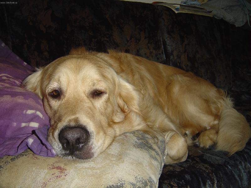 Foto: odpočinek-naše zlatíško