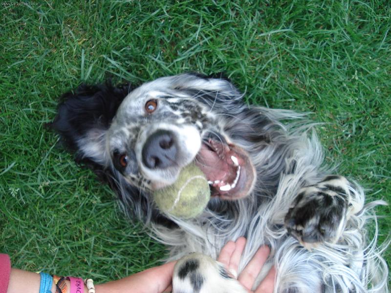 Foto: Cheynn z Mešínské hájovny-blbnu s balonkem