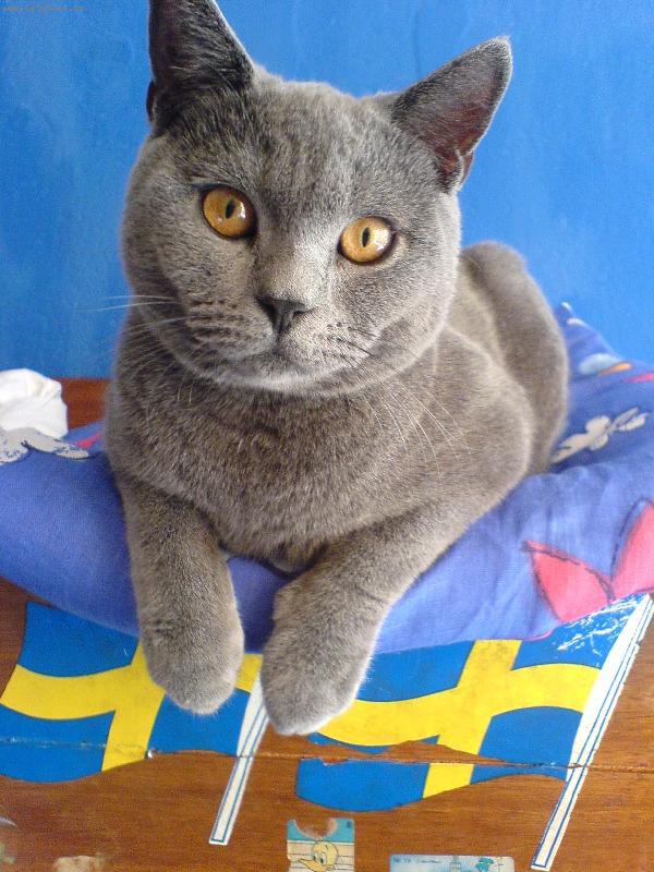 Foto: Monty-Takhle odpocivam