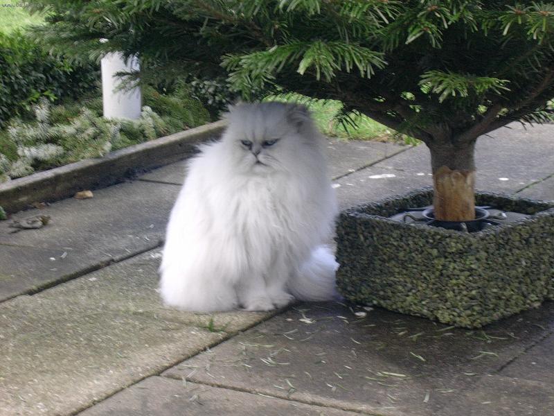 Foto: Evelyna-Evelynka přemýšlí