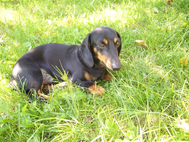 Foto: Beneček...-to je zeleně......