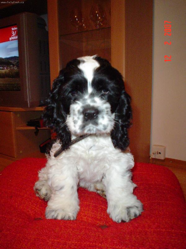 Foto: Tak už to zmáčkni!!!-Sedět modelem mě fakt strašně nebaví!!!!