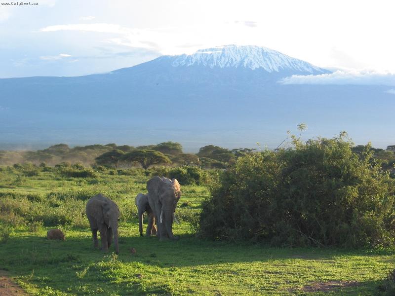 Foto: Pod Kilimanžárem