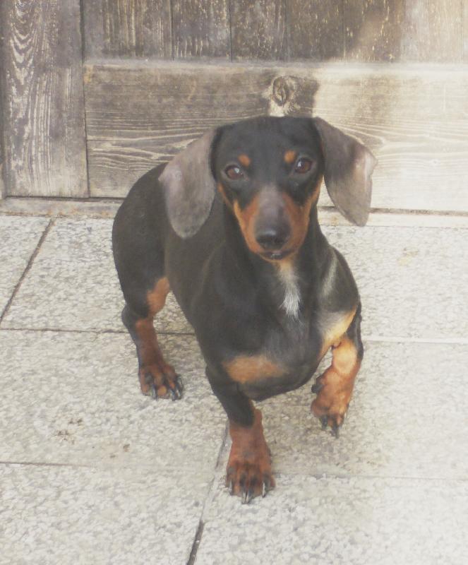 Foto: Xendík-co se děje???