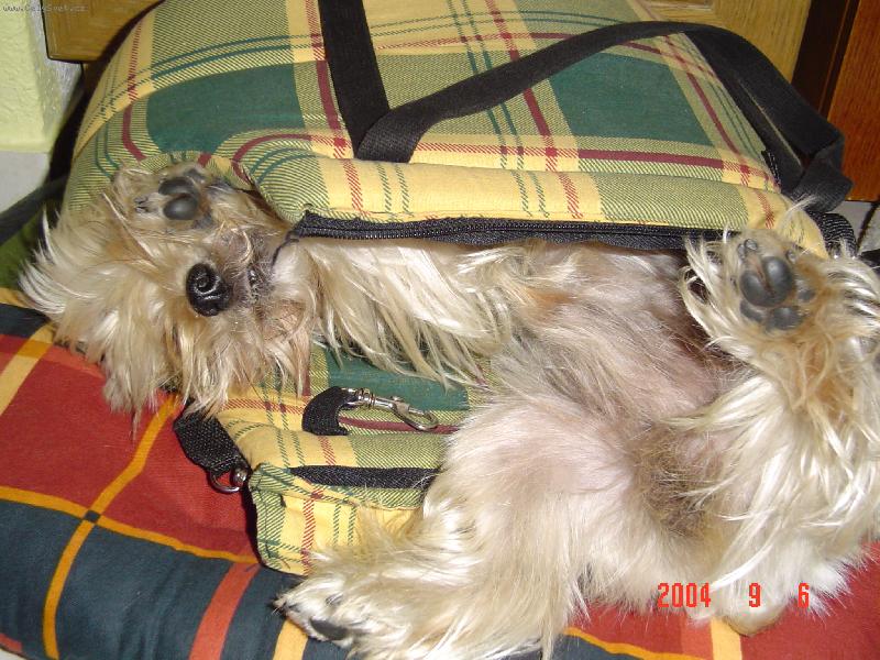 Foto: Po tůře na Pradědu - 20km-...a broučci spali...