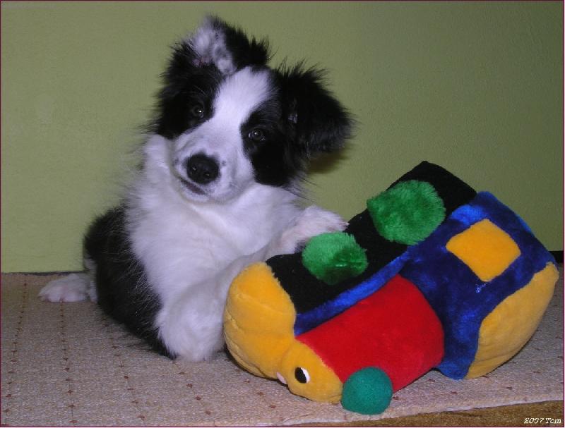 Foto: Atrixi a vláček-Atrixi a vláček