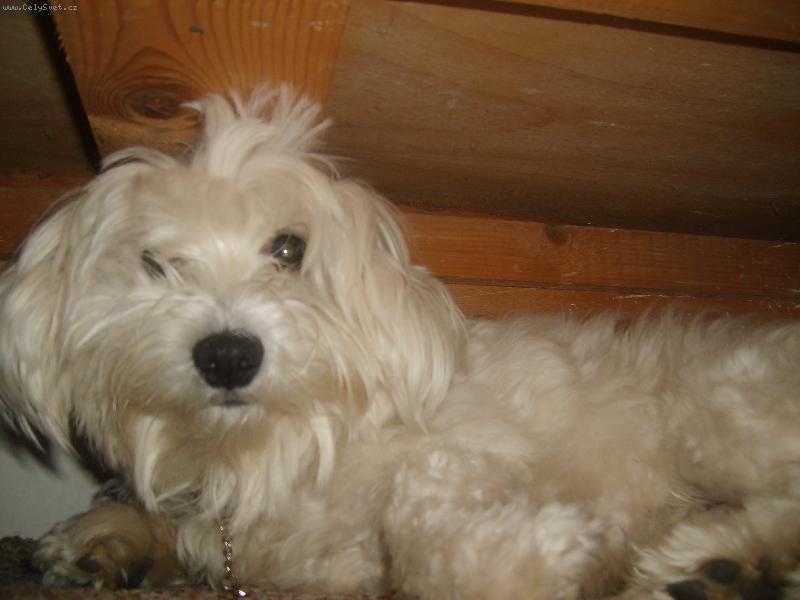 Foto: Co mě budite ze spánku!!!!!!