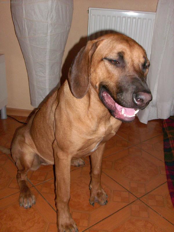 Foto: Meggy-Úsměv, prosím !!