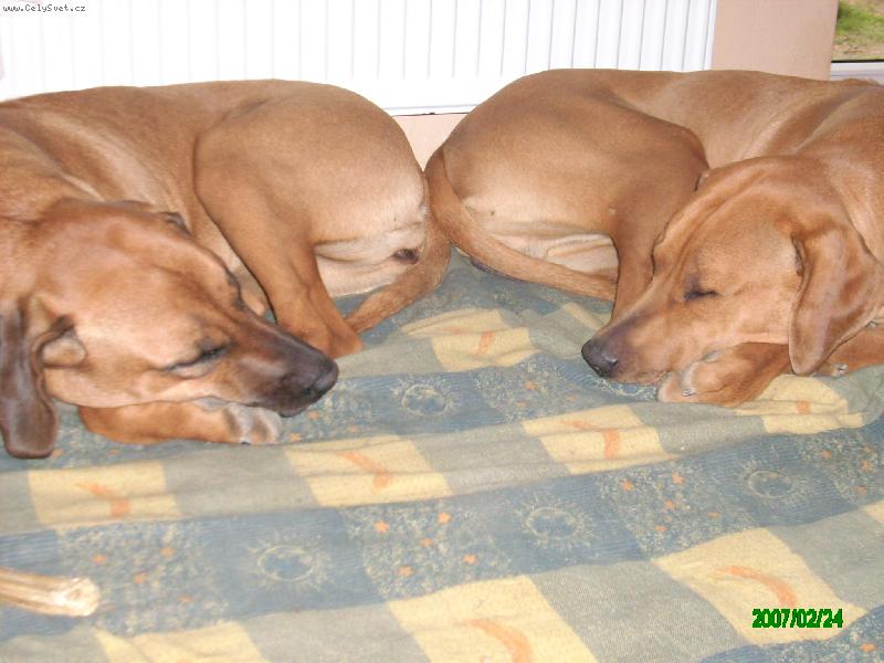 Foto: Rocky &  Meggy-P...