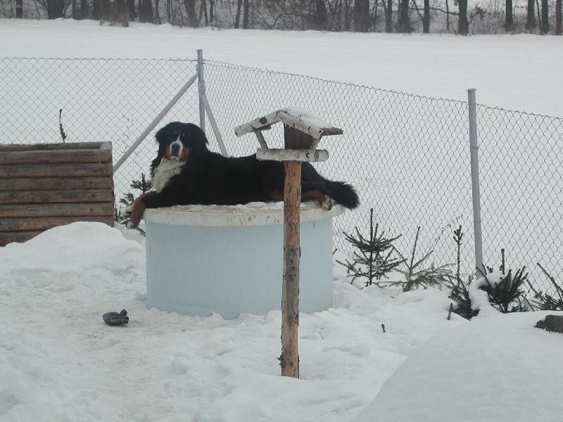 Foto: Agátka hlídá domeček