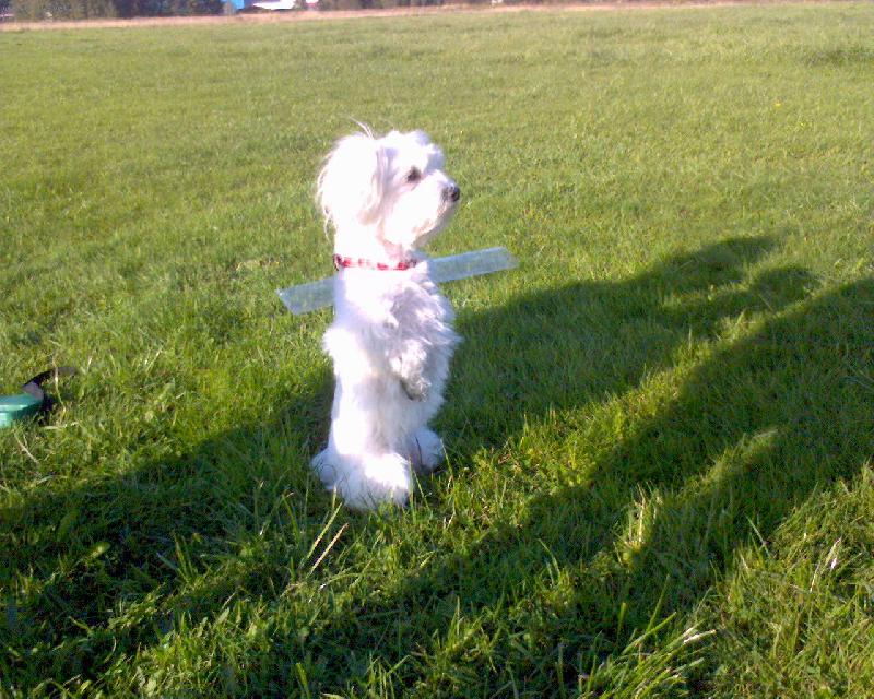 Foto: Dejsinka-4 roky